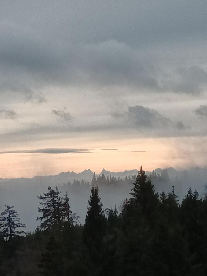 Terre De Sapins - Gites Nature Haut De Gamme Avec Sauna Au Coeur Du Lac Blanc Orbey Exterior foto
